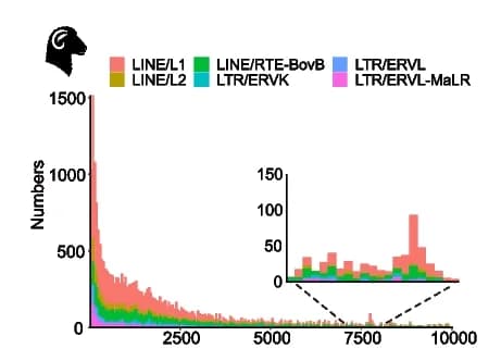 Open access visualization of Stacked Bar Plot, Histogram, Distribution, TEs, Domestic Sheep