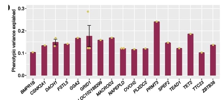 Open access visualization of Bar Plot, Error Bars, Phenotypic Variance, Goat Litter Size, SV Loci