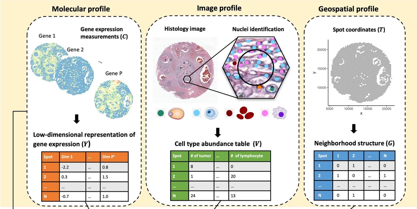 Open access visualization of Workflow, Illustration, Table Image, Microscopy, Scatter Plot