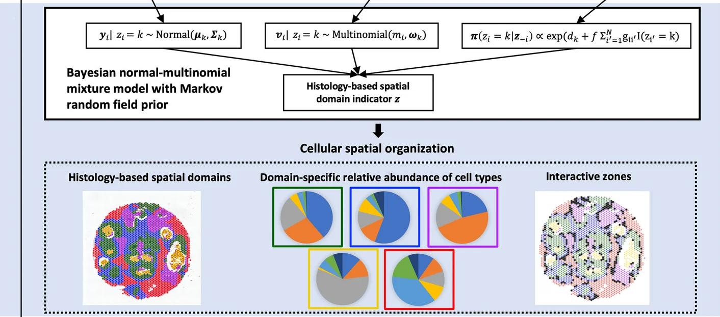 Open access visualization of Workflow, Illustration, Pie Chart, Bayesian Normal-Multinomial Mixture Model, Markov Random Field