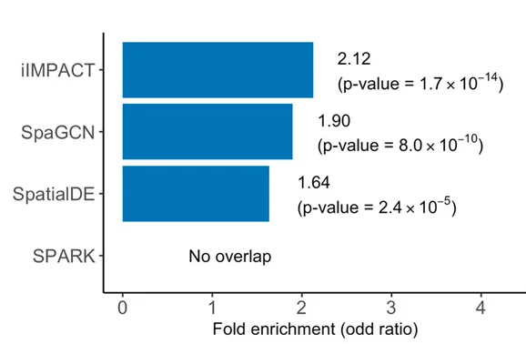 Open access visualization of Bar Plot, Gene Enrichment Analysis, iIMPACT, SpaGCN, SpatialDE