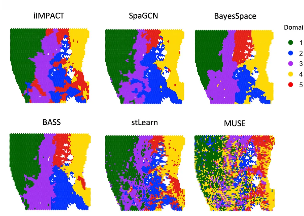 Open access visualization of Geo Map, Spatial Domains, iIMPACT, SpaGCN, BayesSpace