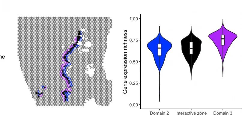 Open access visualization of Violin Plot, Map, Interactive Zones, Boundary Areas, Gene Expression