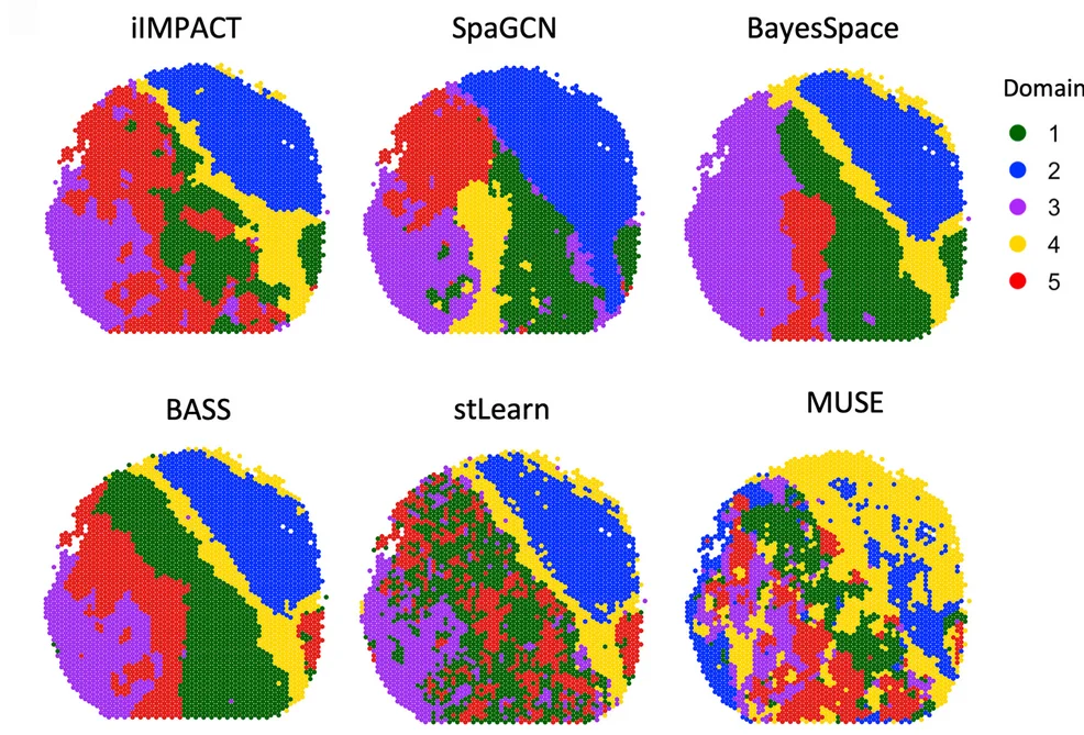Open access visualization of Geo Map, Spatial Domains, iIMPACT, SpaGCN, BayesSpace