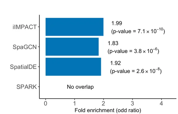 Open access visualization of Bar Plot, Gene Enrichment Analysis, iIMPACT, SpaGCN, SpatialDE