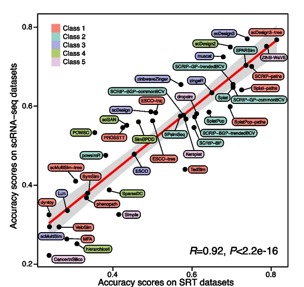 Open access visualization of Scatter Plot, Regression Plot, Accuracy, SRT Datasets, scRNA-seq Datasets