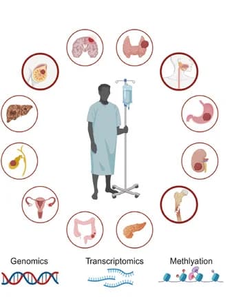 Open access visualization of Illustration, Pan-Cancer, Multi-Omics Dataset, Gene Mutation, mRNA Expression