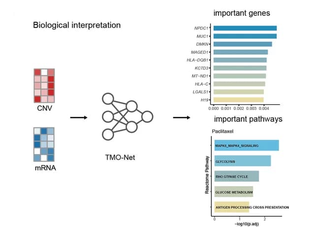 Open access visualization of Bar Plot, Workflow, Heatmap, Biological Interpretations, Multi-Omics Features