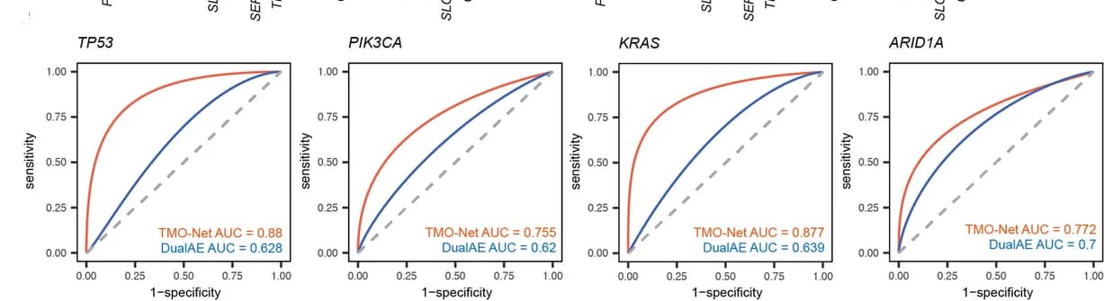 Open access visualization of Line Plot, Receiver Operating Characteristic, Cancer Mutations