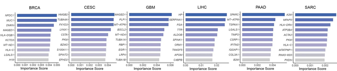 Open access visualization of Bar Plot, Gene Expression, Cancer Subtypes, Prognosis