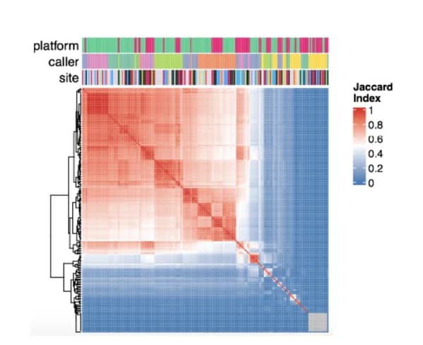 Open access visualization of Heatmap, Clustered, Bar Plot, Heatmaps, Jaccard Index