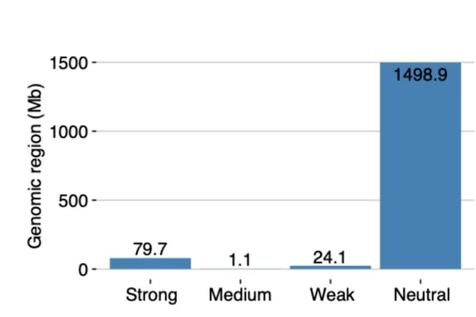 Open access visualization of Bar Plot, Copy Number Loss