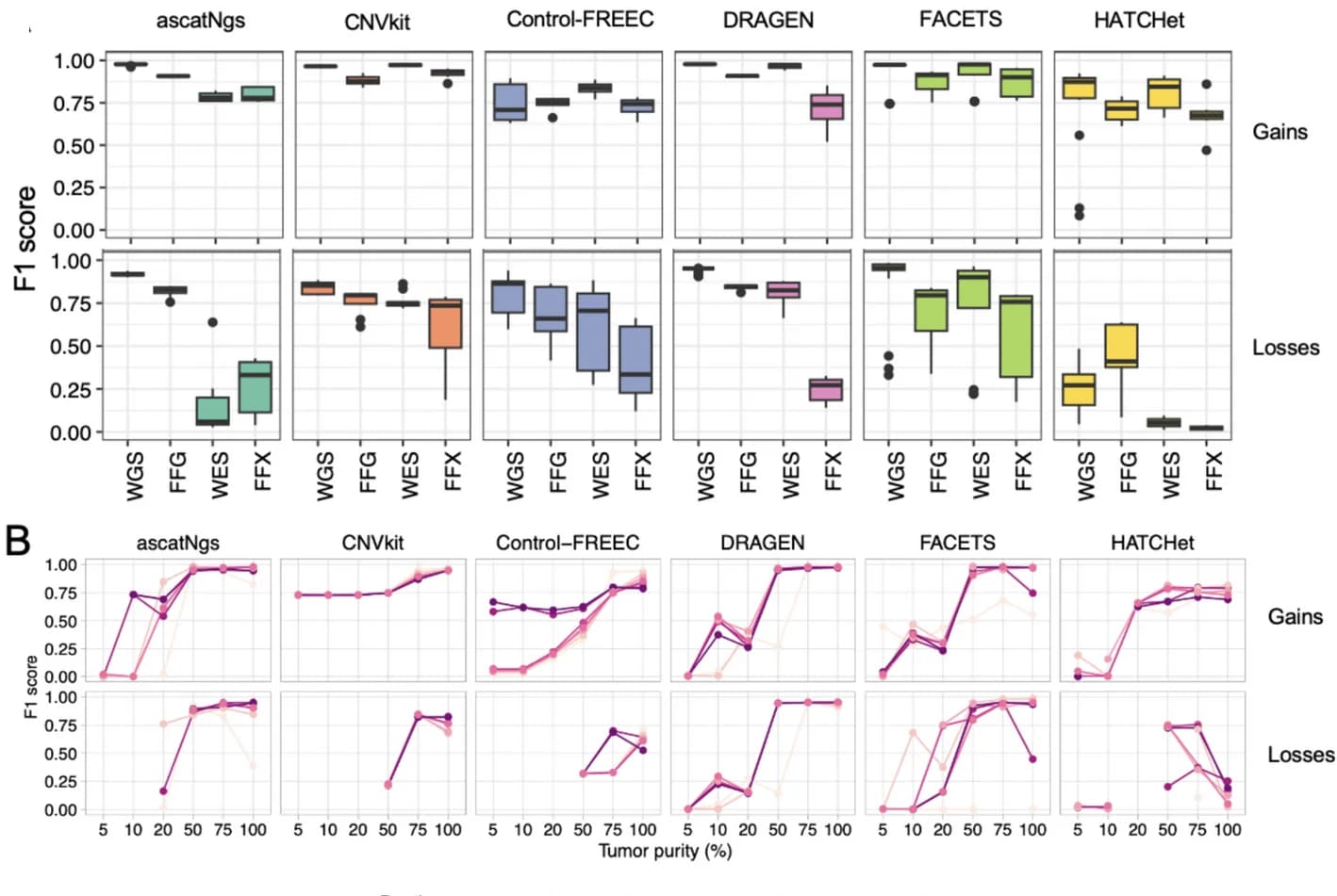 Open access visualization of Box Plot, Line Plot, Copy Number Gains, Copy Number Loss, Fresh Tissue