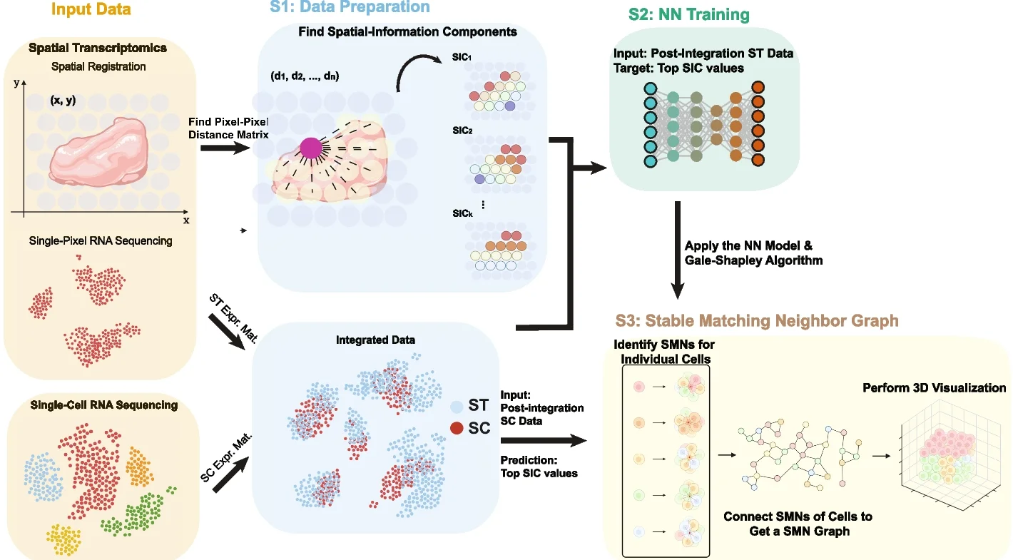 Open access visualization of Workflow, Scatter Plot, Network, 3D Plot, scHolography