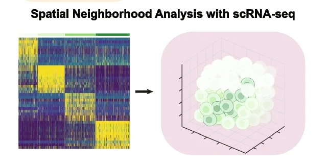 Open access visualization of Heatmap, 3D Plot, scHolography, Spatial Neighborhood Analysis, Cell Clustering