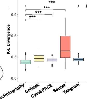 Open access visualization of Box Plot, KL-Divergence, Spatial Cell Charting, Mouse Hippocampus, Simulation