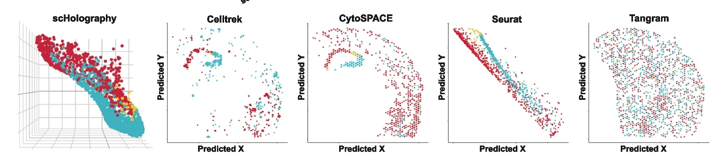 Open access visualization of Scatter Plot, 3D Plot, scHolography, Celltrek, CytoSPACE