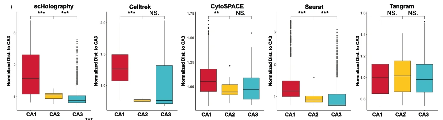 Open access visualization of Box Plot, Scatter Plot, scHolography, Celltrek, CytoSPACE