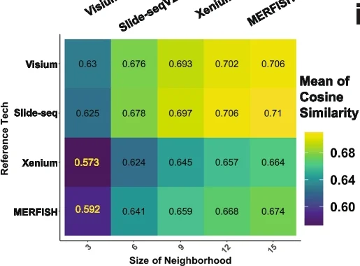 Open access visualization of Heatmap, Cosine Similarity, scHolography, Spatial Neighborhood, Accumulated Expression