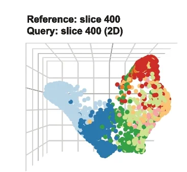 Open access visualization of 3D Plot, Merfish, scHolography, 3D Visualization