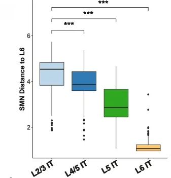 Open access visualization of Box Plot, SMN Distances, scHolography