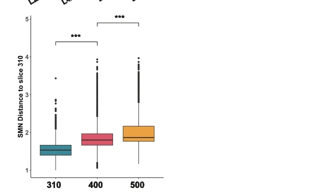 Open access visualization of Box Plot, SMN Distances, scHolography
