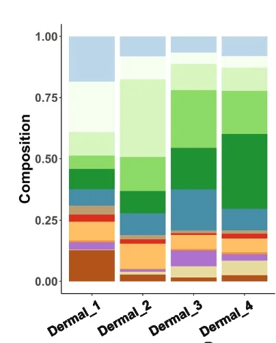 Open access visualization of Stacked Bar Plot, Cell Type Composition, Dermal Neighborhoods