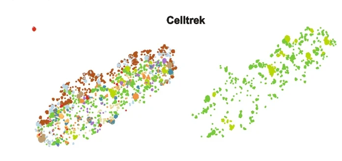 Open access visualization of Scatter Plot, Bubble Plot, UMAP, PCA, Single-Cell Spatial Charting