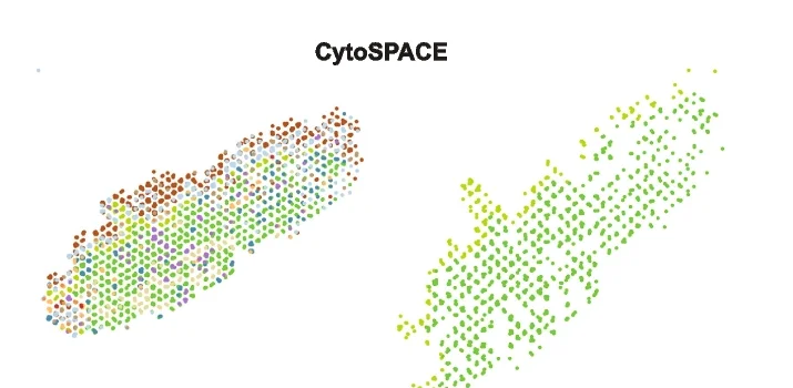 Open access visualization of Scatter Plot, UMAP, Single-Cell Spatial Charting, Celltrek, CytoSPACE