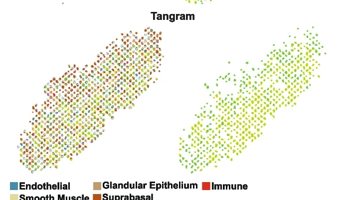 Open access visualization of Scatter Plot, UMAP, Single-Cell Spatial Charting, Celltrek, CytoSPACE