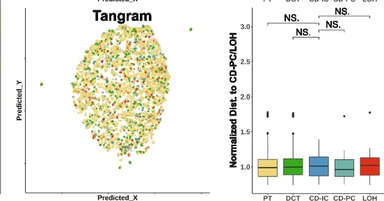 Open access visualization of Scatter Plot, Box Plot, Celltrek, CytoSPACE, Seurat