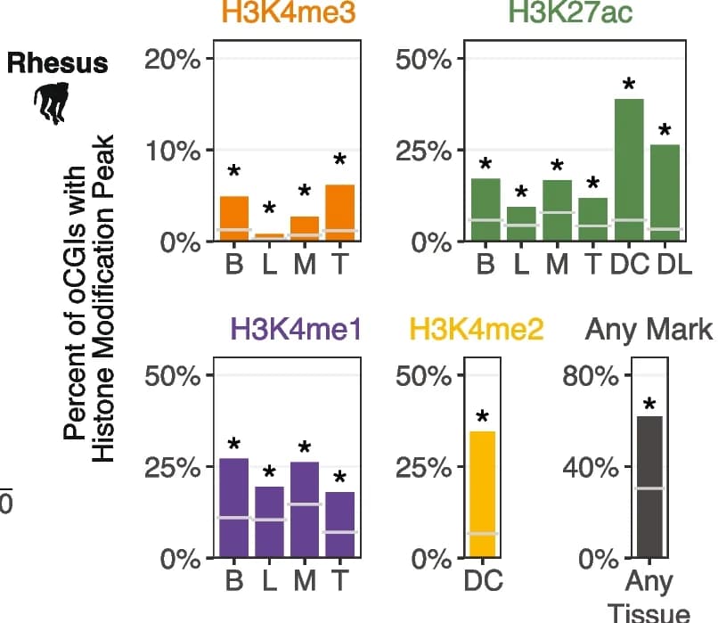 Open access visualization of Bar Plot, oCGIs, Histone Modification Peak, Rhesus Macaque, Brain