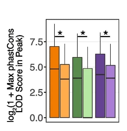 Open access visualization of Bar Plot, Error Bars, PhastCons LOD Scores, oCGIs, Box Plots
