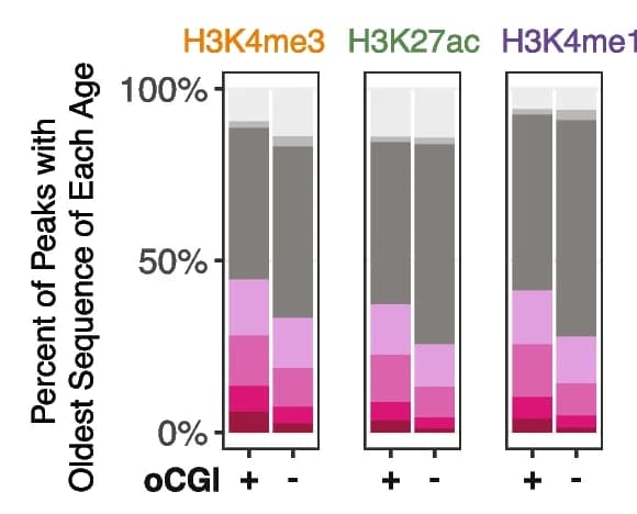 Open access visualization of Stacked Bar Plot, Evolutionary Origin, oCGIs, Bar Plots, Adult Brain