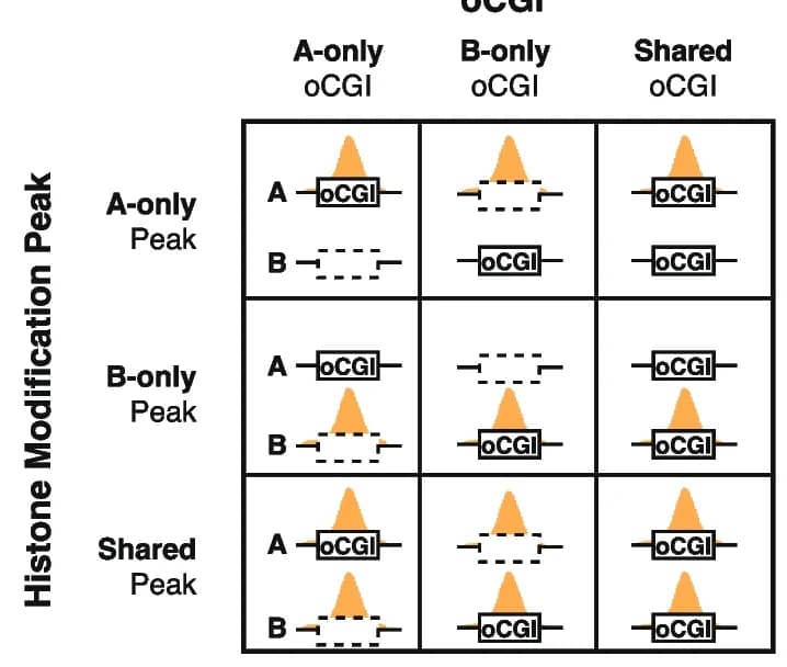 Open access visualization of Illustration, Table Image, oCGIs, Histone Modification Peaks, Species Specificity