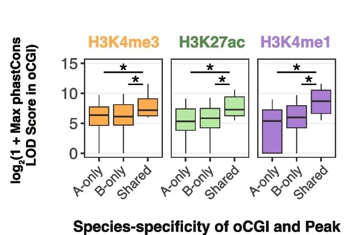 Open access visualization of Box Plot, LOD Score, Species Specificity, oCGIs, Rhesus Macaque Brain