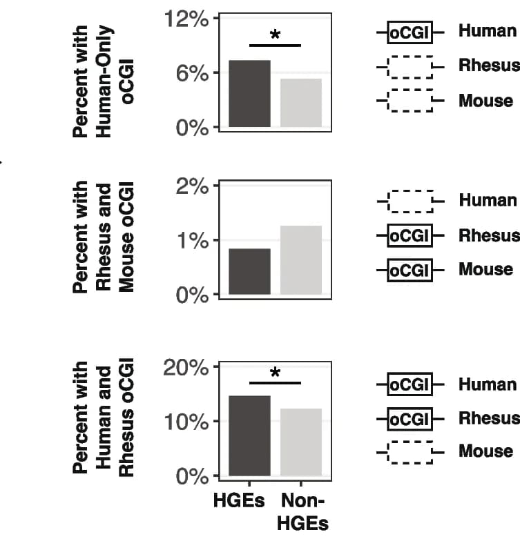 Open access visualization of Bar Plot, Error Bars, oCGIs, HGEs, Enhancers