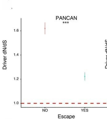 Open access visualization of Error Bars, Bar Plot, Driver Genes, TCGA, Tumor Types