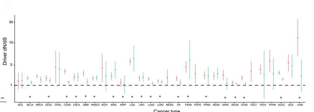 Open access visualization of Error Bars, Clustered, Driver Genes, Cancer Subtypes, dN/dS