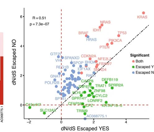Open access visualization of Scatter Plot, dN/dS, Significant Genes, Escape