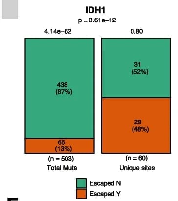 Open access visualization of Stacked Bar Plot, IDH1, Chi-Square Test, Mutation Number, Mutated Sites