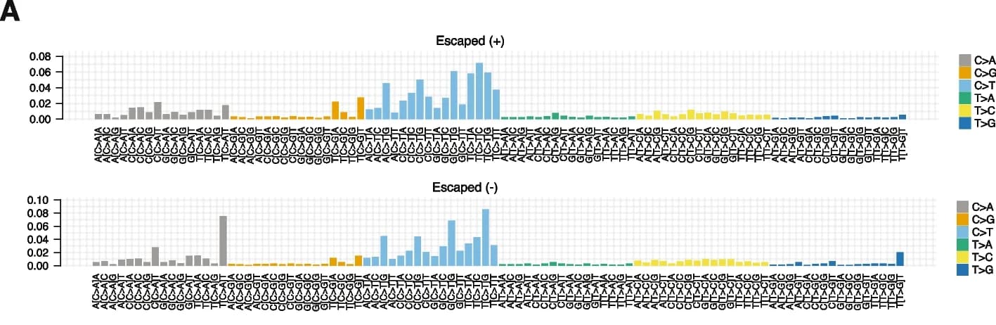 Open access visualization of Bar Plot, Mutation, Tumor Cohorts