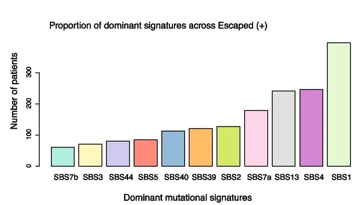 Open access visualization of Bar Plot, Signatures, Patients, Tumor Cohorts