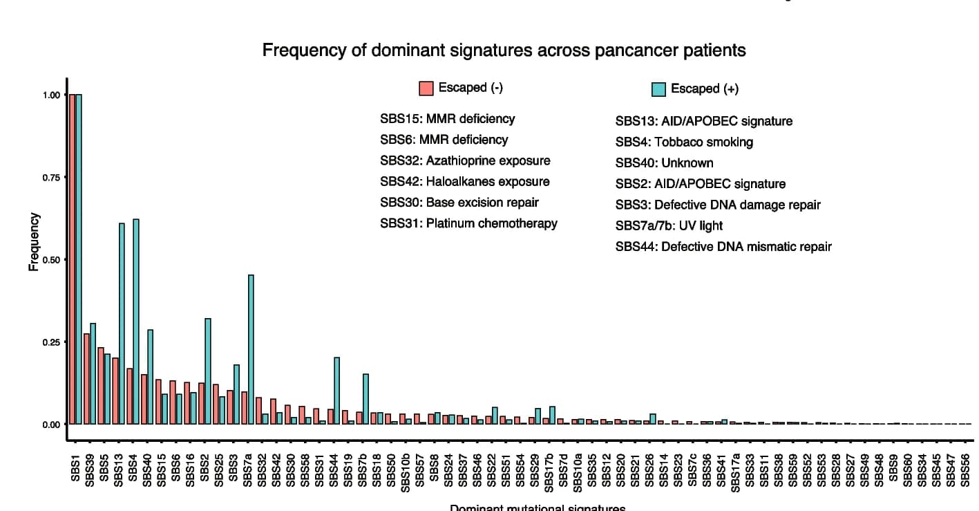 Open access visualization of Bar Plot, Clustered, Signatures, Tumors, Frequency