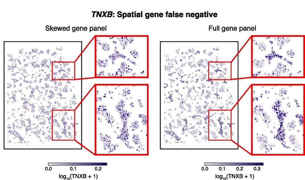 Open access visualization of Heatmap, Gene Expression, Tissue Space, Gene Panel, TNXB