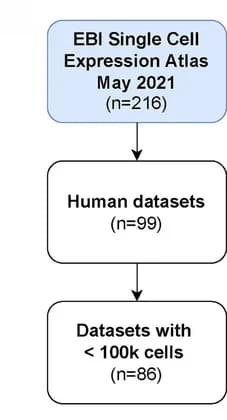 Open access visualization of Flowchart, Human Datasets, Single Cell Expression Atlas