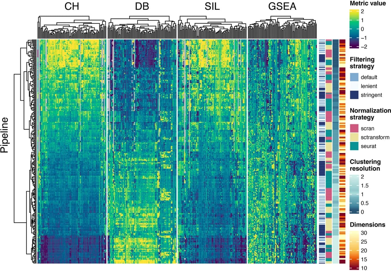 Open access visualization of Heatmap, Clustered, SCIPIO-86 Dataset, scRNA-seq Clustering Pipelines, Unsupervised Metrics