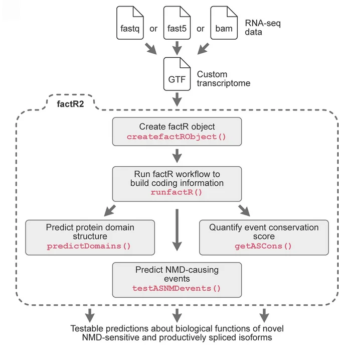 Open access visualization of Workflow, Flowchart, factR2, AS-NMD Events, Transcriptome Annotation