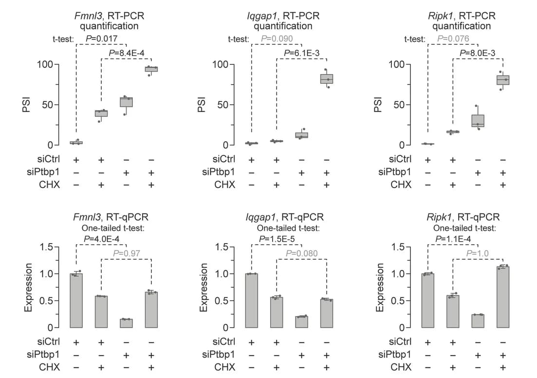 Open access visualization of Box Plot, Bar Plot, Error Bars, PSI Values, Box Plots