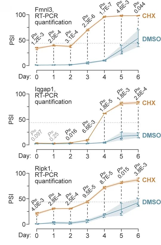 Open access visualization of Line Plot, Error Bars, NS-CE PSI, DMSO, CHX